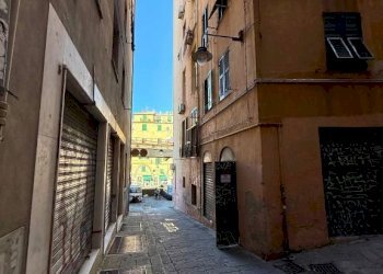 Zona - Negozio vico delle Camelie, 8, Genova (zona Centro Storico) - foto 11