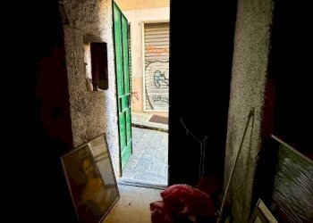 Cantina - Negozio vico delle Camelie, 8, Genova (zona Centro Storico) - foto 18