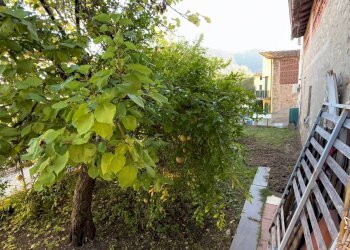 Foto 12 - Rustico via Fonda, Lucca - foto 12