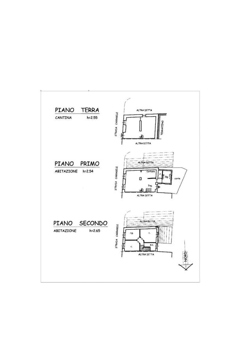 Planimetria - Quadrilocale via Scaruglia, San Colombano Certenoli - planimetria 1
