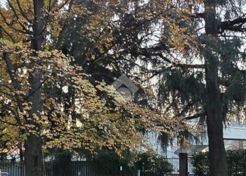 Trilocale Via Milanese, Cinisello Balsamo - foto 29