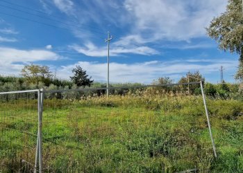 Building land Città Sant'Angelo - photo 8