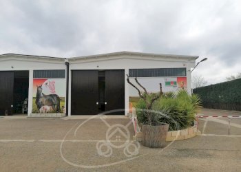 Capannone Via Cerignola, Foggia - foto 11