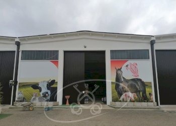 Capannone Via Cerignola, Foggia - foto 16