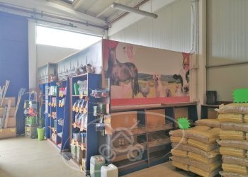 Capannone Via Cerignola, Foggia - foto 19