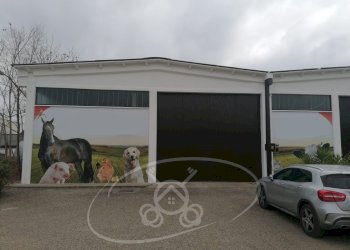 Capannone Foggia - foto 25