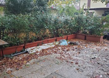 Trilocale Via Orsa Minore, Modena - foto 17