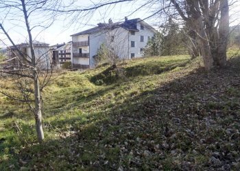 Foto 6 - Terreno edificabile Spezzano della Sila - foto 6