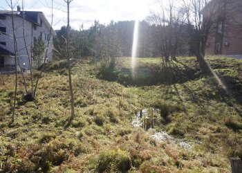 Foto 9 - Terreno edificabile Spezzano della Sila - foto 9