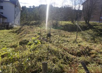 Foto 10 - Terreno edificabile Spezzano della Sila - foto 10