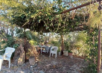 Foto 5 - Casa indipendente contrada conci
 
10, Monte Vidon Corrado - foto 5