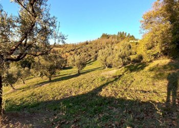 Foto 20 - Casa indipendente contrada conci
 
10, Monte Vidon Corrado - foto 20