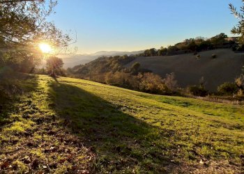 Foto 21 - Casa indipendente contrada conci
 
10, Monte Vidon Corrado - foto 21