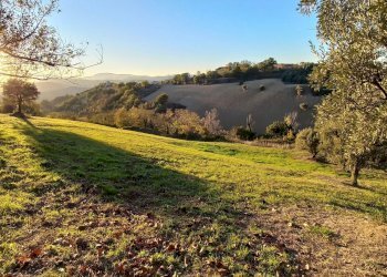 Foto 24 - Casa indipendente contrada conci
 
10, Monte Vidon Corrado - foto 24