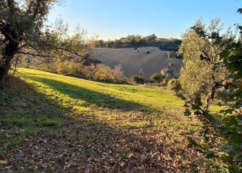 Foto 25 - Casa indipendente contrada conci
 
10, Monte Vidon Corrado - foto 25