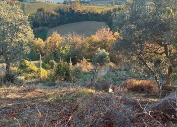 Foto 27 - Casa indipendente contrada conci
 
10, Monte Vidon Corrado - foto 27