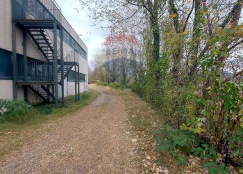 Giardino - Magazzino VIA GUARALDA
20, Varese - foto 13