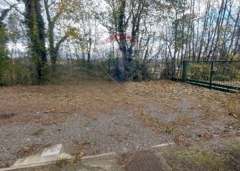 Giardino - Magazzino VIA GUARALDA
20, Varese - foto 14