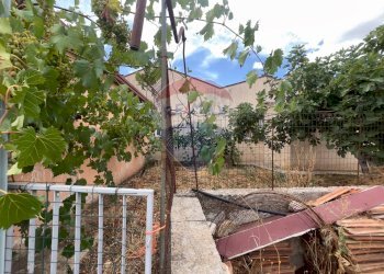 Giardino - Rustico Santeramo in Colle - foto 14