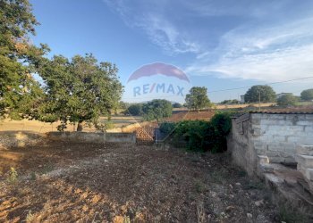 Giardino - Rustico Santeramo in Colle - foto 23