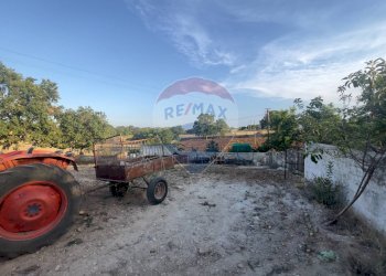 Terrazza - Rustico Santeramo in Colle - foto 24