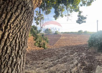 Giardino - Rustico Santeramo in Colle - foto 33