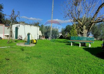 Giardino - Villa Laterza - foto 5