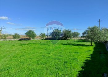 Giardino - Villa Laterza - foto 6