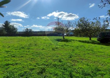 Giardino - Villa Laterza - foto 23