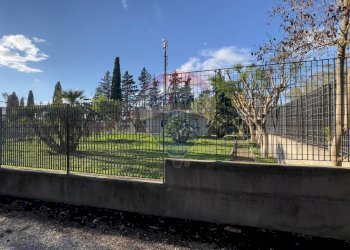 Giardino - Villa Ginosa - foto 4