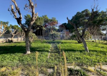 Giardino - Villa Ginosa - foto 8