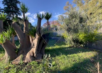 Giardino - Villa Ginosa - foto 10