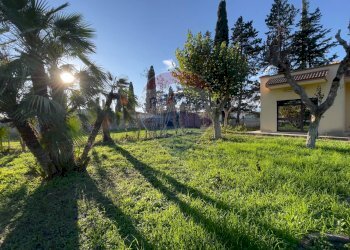 Giardino - Villa Ginosa - foto 13