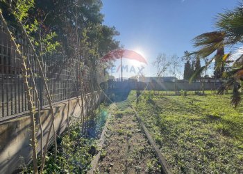 Giardino - Villa Ginosa - foto 15