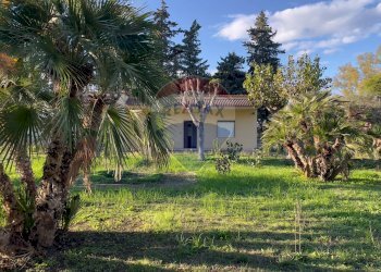 Giardino - Villa Ginosa - foto 16