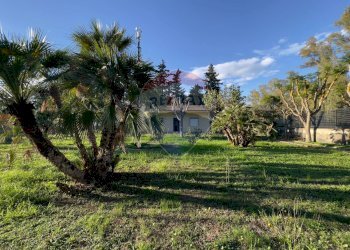 Giardino - Villa Ginosa - foto 17