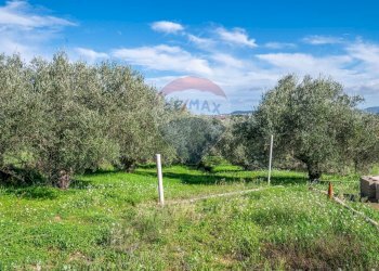 Giardino - Casa indipendente Contrada San Cataldo
 
6, Caltagirone - foto 41