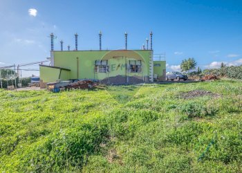 Giardino - Casa indipendente Contrada San Cataldo
 
6, Caltagirone - foto 43