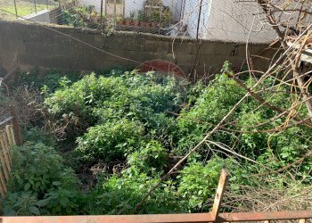 Giardino - Appartamento via XIV traversa
 
5, Belpasso - foto 12