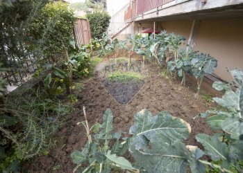 Giardino - Trilocale via elio vittorini
 
21, Caltagirone - foto 28