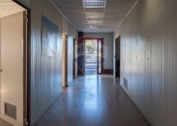 Hall / corridoio - Capannone Via Dell'industria
 
17, Monte San Vito - foto 22