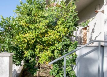 Giardino - Appartamento via delle betulle
 
9, Montemarciano - foto 39