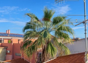 Edificio all\'aperto - Quadrilocale Corso Matteotti
 
66, Giarre - foto 21