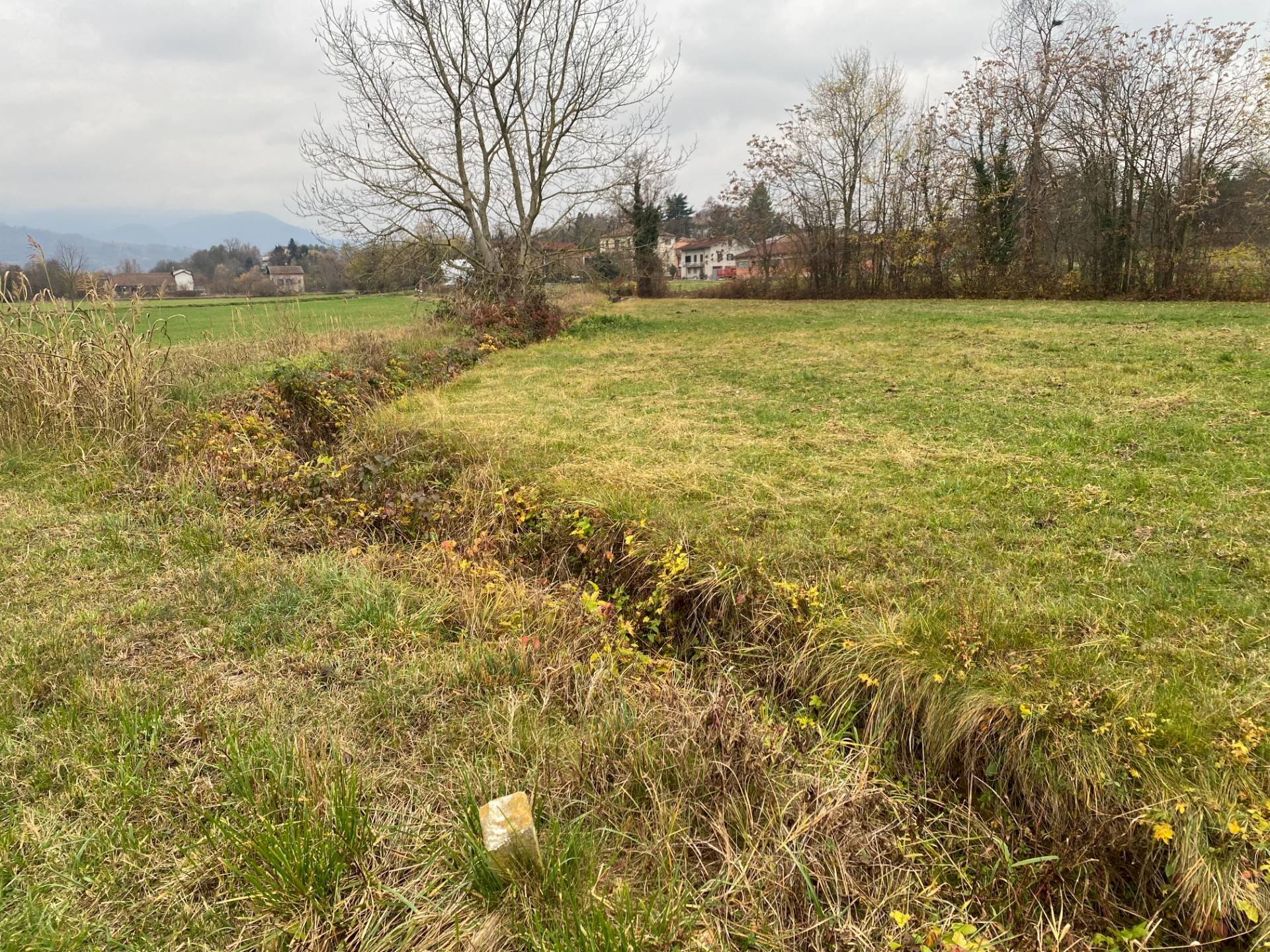 terreno agricolo - Terreno agricolo località Beila, Mondovì - foto 1
