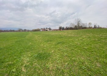 terreno agricolo - Terreno agricolo località Beila, Mondovì - foto 3