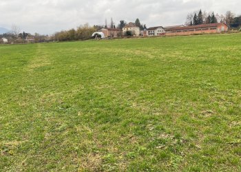 terreno agricolo - Terreno agricolo località Beila, Mondovì - foto 5