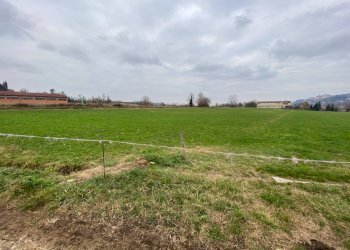 terreno agricolo - Terreno agricolo località Beila, Mondovì - foto 6