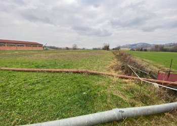 terreno agricolo - Terreno agricolo località Beila, Mondovì - foto 7