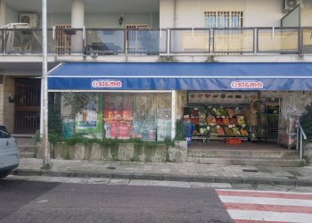 Foto 2 - Locale Commerciale Viale Italia, San Nicola la Strada - foto 2