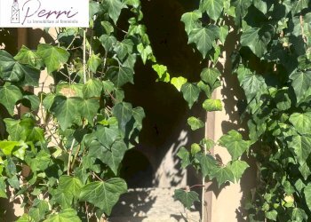 Foto 1 - Villa Via Aurelia Antica, Roma - foto 1